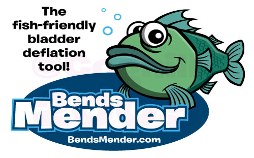 Cartoon fish mascot character & logo