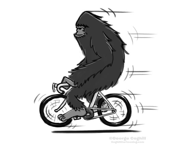 Bigfoot On A Bicycle Cartoon Sketch - No background