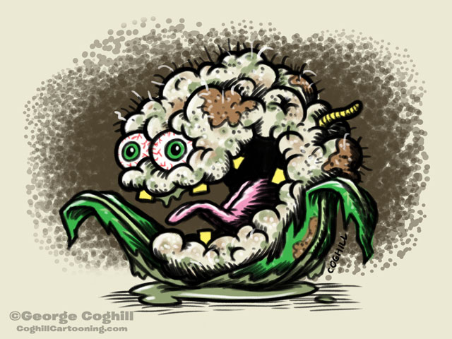 Caustic Cauliflower Food Vegetable Lowbrow Cartoon Character Sketch Coghill
