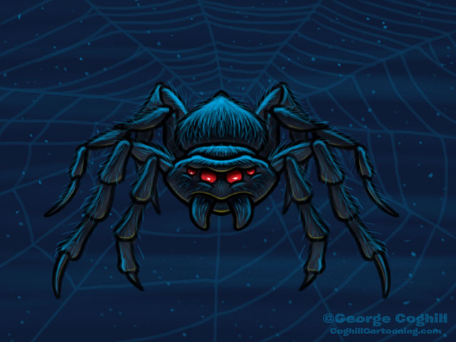 Spider Cartoon Character Sketch